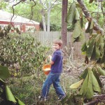 Hal hunting eggs Hal hunting eggs