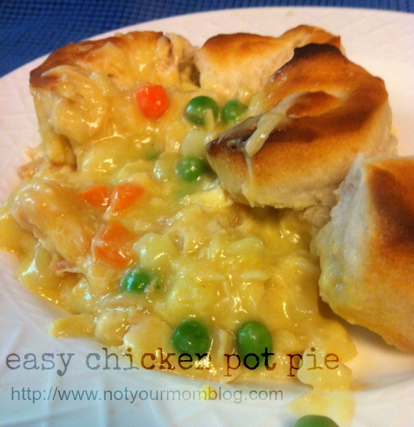 easy chicken pot pie recipe